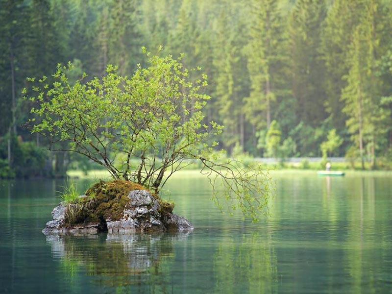 氨氮與總磷超標原因分析（氨氮與總磷超標如何處理）